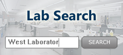 Lab Search